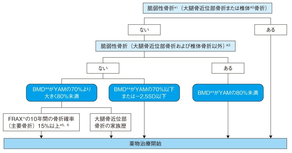 「骨粗しょう症」の治療はいつから始めるの？