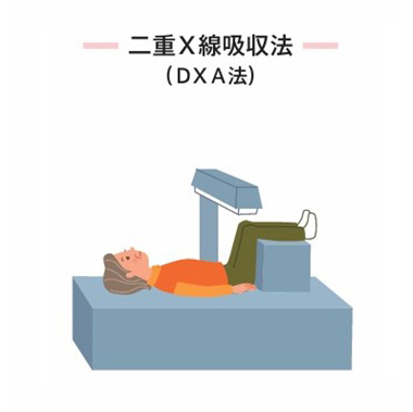 二重X線吸収法（DXA法）